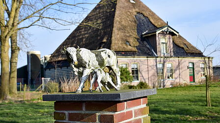 Een oude stolpboerderij met rieten dak met op de voorgrond een pilaar. Op de pilaar staat een beeld met twee koeien.