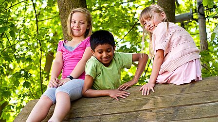 Drie kinderen klimmen op een boomstam.